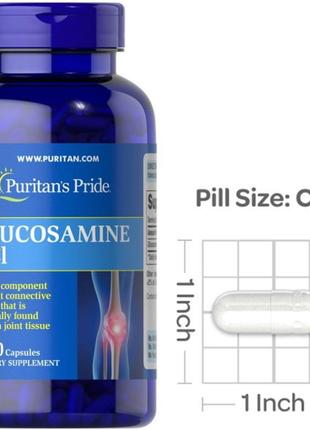 Puritan's pride glucosamine hcl 240 caps