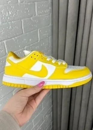 Кроссовки nike sb dunk