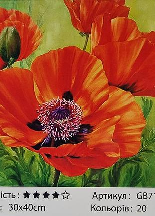 Алмазний живопис "маки" 30*40 см