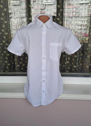 Нарядный набор для мальчика/серые брюки для мальчика /белая рубашка с коротким рукавом для мальчика4 фото