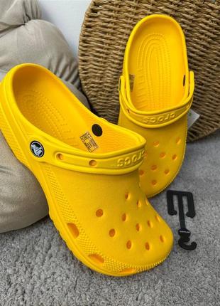 Кроксы сабо crocs classic clog orange унисекс все размеры в наличии