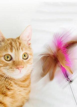 Дразнилка-ошейник для котов с перьями "happy"6 фото