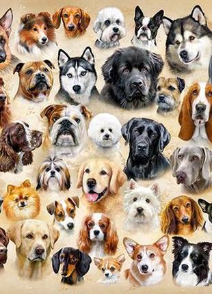 Кастор пазлы  200 "коллаж с собаками" b-222162