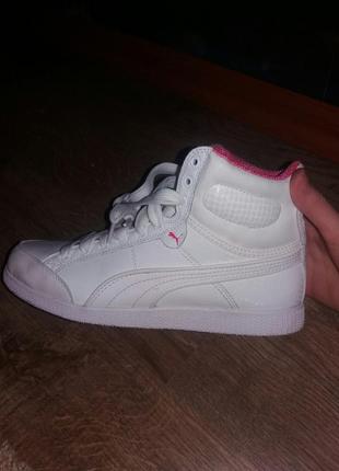 Puma2 фото