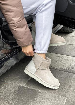 Жіночі бежеві уггі ugg classic mini beige