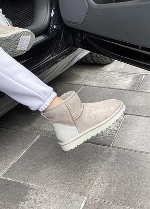 Женские бежевые угги ugg mini classic beige6 фото