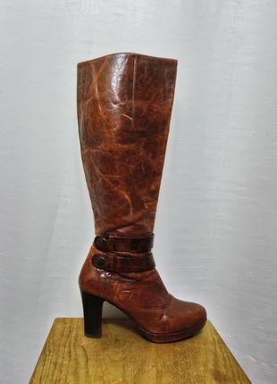 Кожаные демисизонные сапожки✨ spain