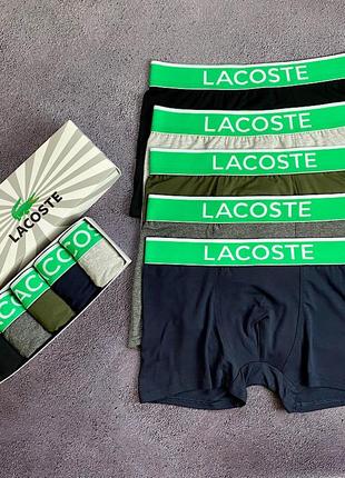 Чоловічі труси боксери - в стилі lacoste набір 5 шт.