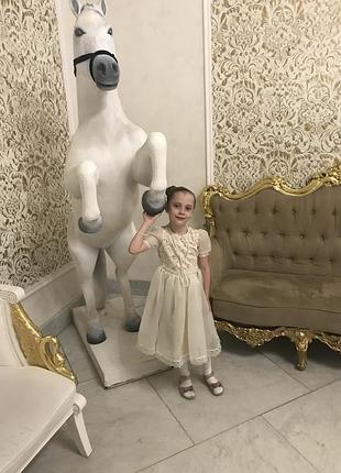 Сукню 2