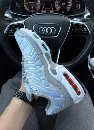 Мужские кроссовки найк аир макс силвер скай / nike air max plus silver sky9 фото