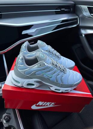 Мужские кроссовки найк аир макс силвер скай / nike air max plus silver sky8 фото