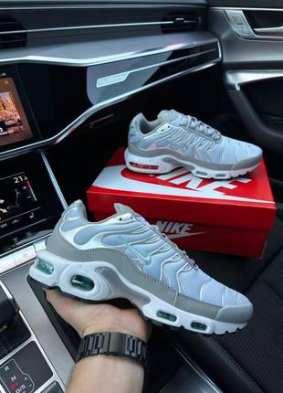 Мужские кроссовки найк аир макс силвер скай / nike air max plus silver sky2 фото