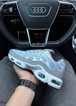 Мужские кроссовки найк аир макс силвер скай / nike air max plus silver sky10 фото