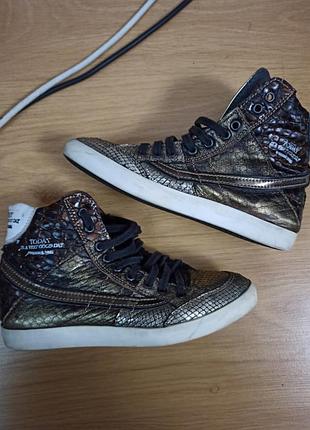 Высокие кеды primabase