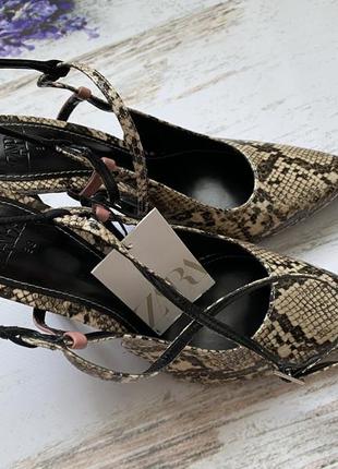 Туфлі човники zara, босоніжки, 36, 37 та 38 розмір5 фото