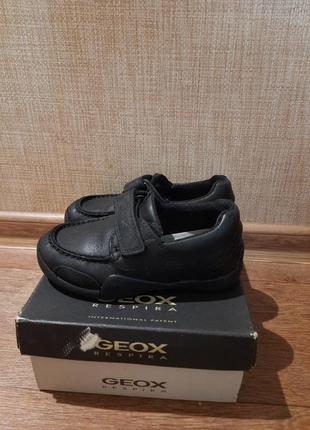 Ботинки кожаные деми geox1 фото