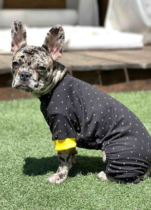 Костюм легкий горошок чорний d-160