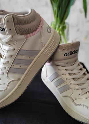 Хайтопы adidas2 фото