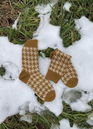 Шкарпетки #paws_socks1 фото