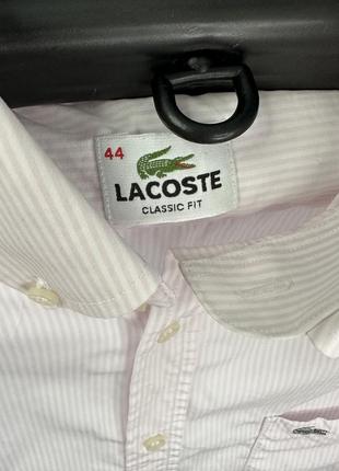 Рубашка lacoste оригинал3 фото