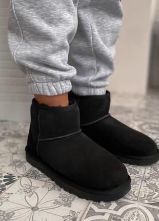 Ugg сапоги женские уги