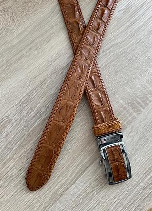 Ремень мужской из натуральной кожи крокодила коричневый коньячный с оплеткой
