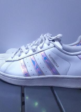 Кроссовки adidas superstar