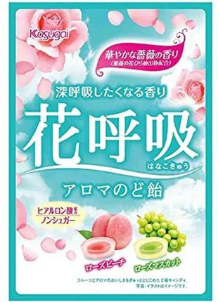 Фруктові цукерки з гіалуроновою кислотою kasugai seika