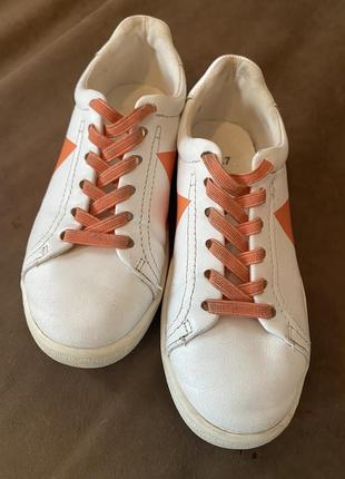 Кеді mango