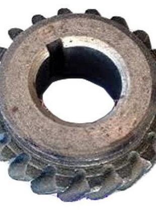 Шестірня вала балансира т-25 д22-1005426-а2