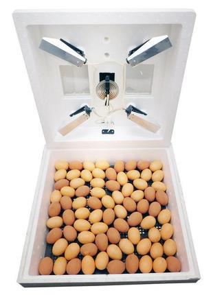 Інкубатор побутовий мі-30 на 80 яєць з мембранним терморегулят...2 фото