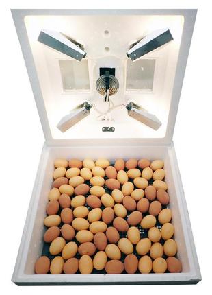 Інкубатор побутовий мі-30 на 80 яєць з мембранним терморегулят...3 фото