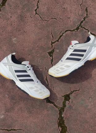 Волейбольні adidas court raw 21 фото