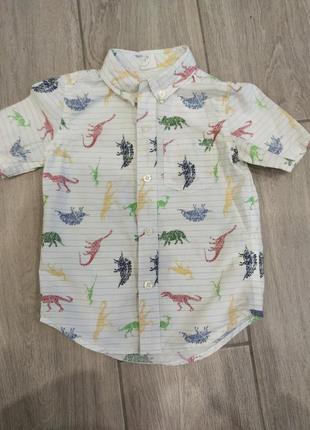 Рубашка с динозаврами gap