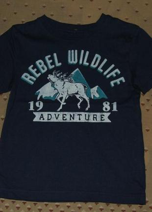 Футболка хлопковая мальчику 5 - 6 лет rebel