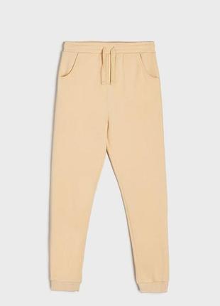 Джоггеры штаны на флисе