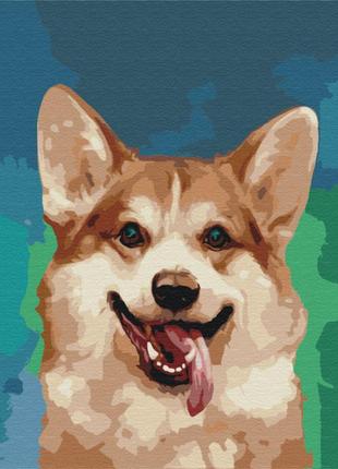 Картина за номерами: коргі в фарбах 40*50 bs51519 bs51519  ish