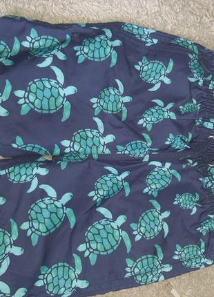 Стильні шотри для плавання прогулянок