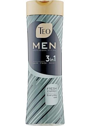 Шампунь teo beauty men 3 in 1 shampoo fresh energy 350 мл (380...1 фото