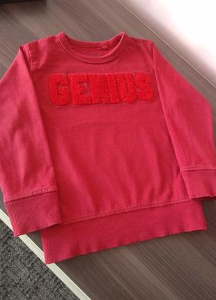Дуже крута кофточка з натписью genius