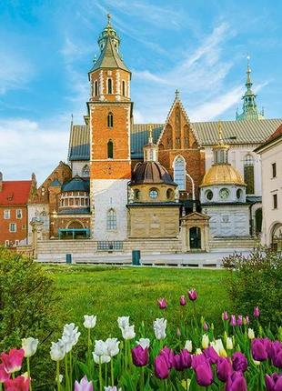 Кастор пазлы 500 "вавельский замок в кракове, польша" 47*33 b-53599 b-53599  ish