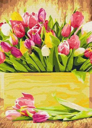 Картина за номерами "святкові тюльпани" bs5666 40х50