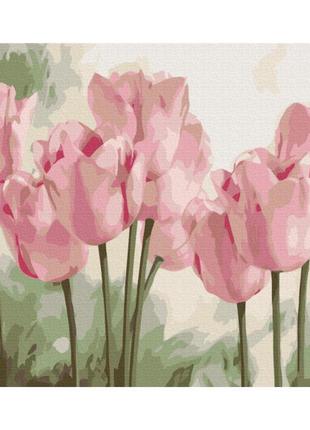 Картина за номерами "ніжні тюльпани" bs53322 40х50