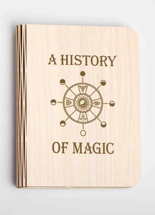 Книга нічник a history of magic l skl96-329297