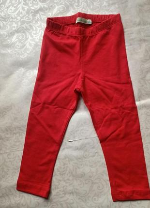Детские лосины капри для девочки красные (корал) 92 размер. детские лосины, каппри. 4600