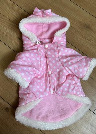 Куртка для маленької собачки