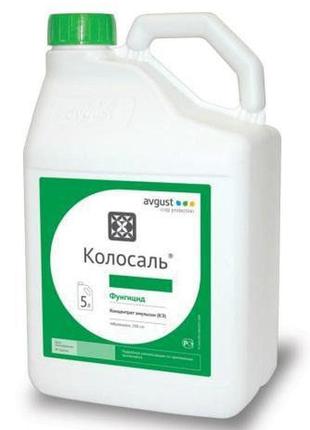 Новинка колосаль (5л) !)
