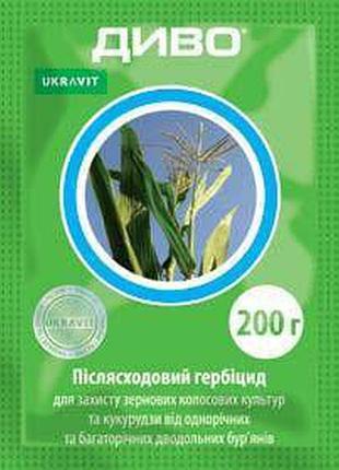 Новинка диво (200 г) !)