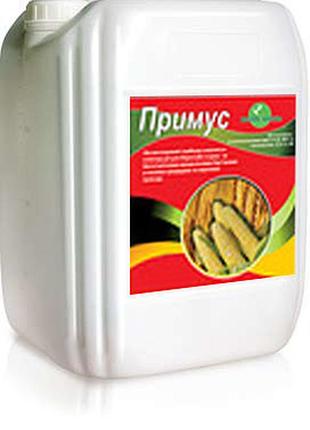 Новинка примус (5л) !)