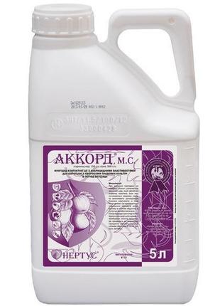 Новинка акорд, м. с. (5л) !)